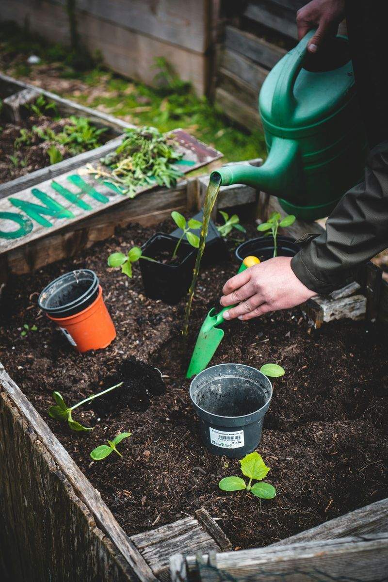 Rafraîchissement du jardin-terrasse pour un espace hôtelier boutique